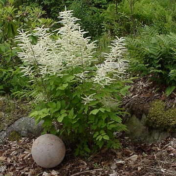 P0579.JPG