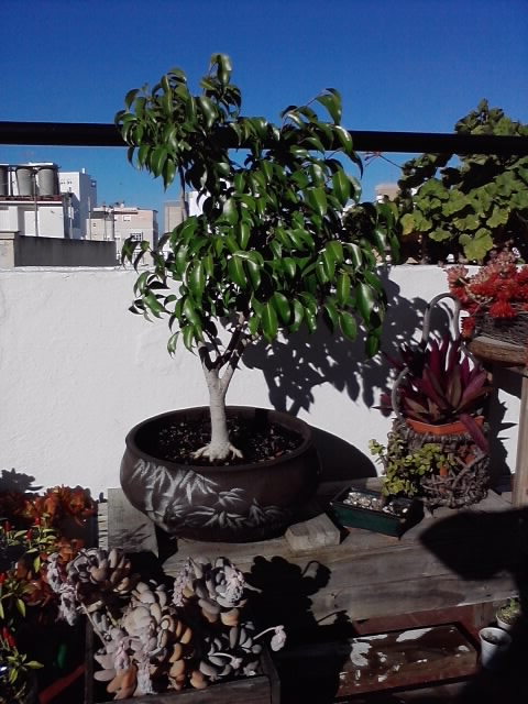 P061213_11.03.jpg