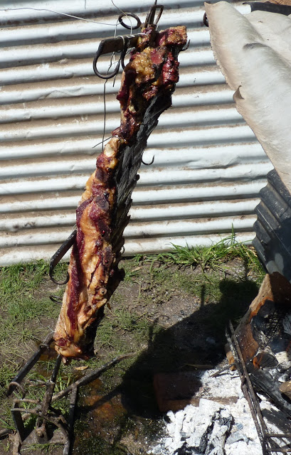 P1000089.JPG