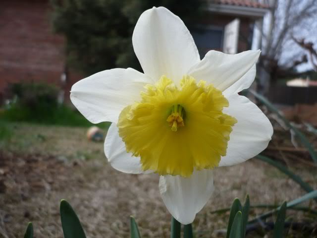 P1000351.jpg