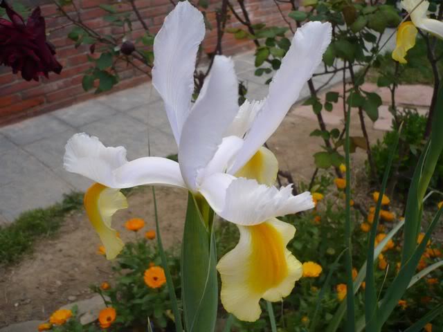 P1000473.jpg