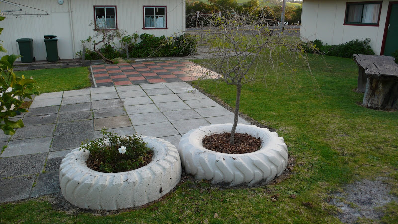 P1000475.JPG