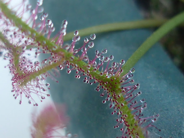 P1000563.JPG
