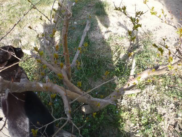 P1000578.jpg