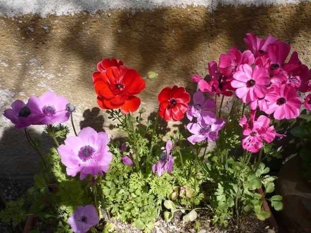 P1000591_2.jpg