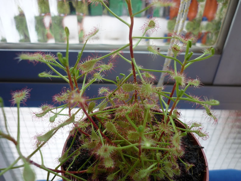 P1000711.JPG