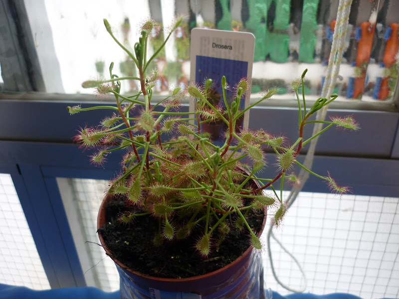P1000715.JPG