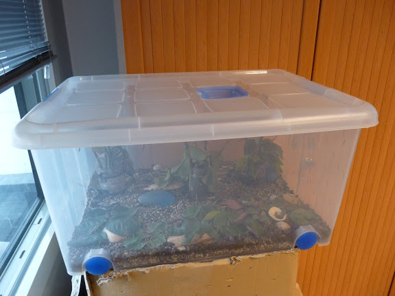 P1000735.JPG