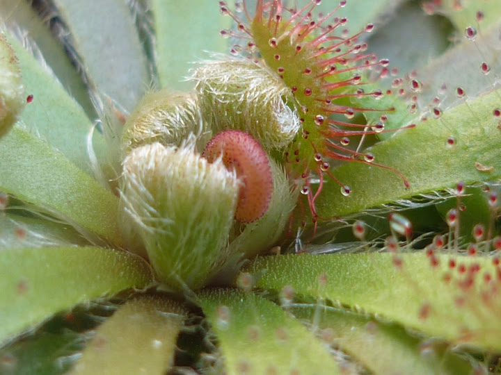 P1000800.JPG