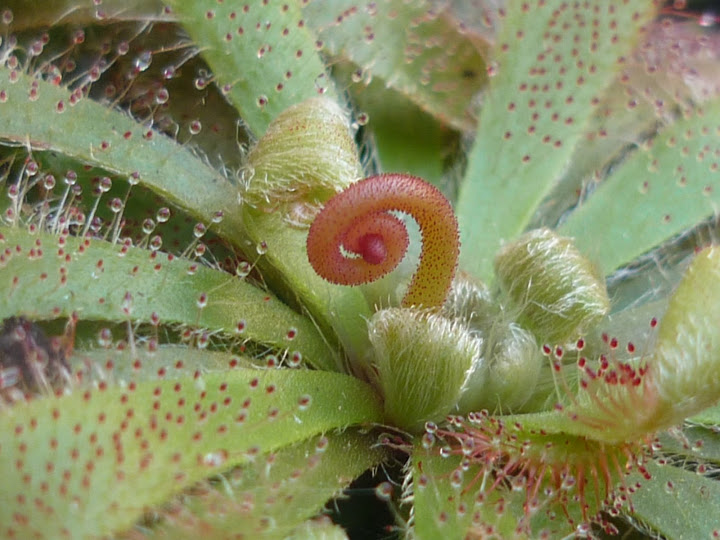 P1000862.JPG
