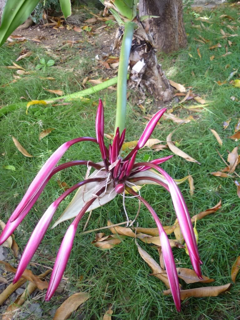 P1000927.jpg