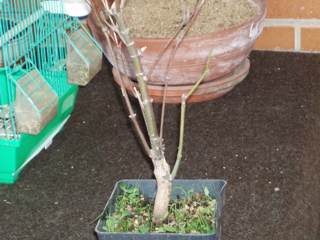 P1010001-3.jpg