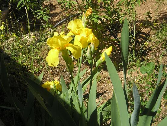 P1010001%7E1.JPG