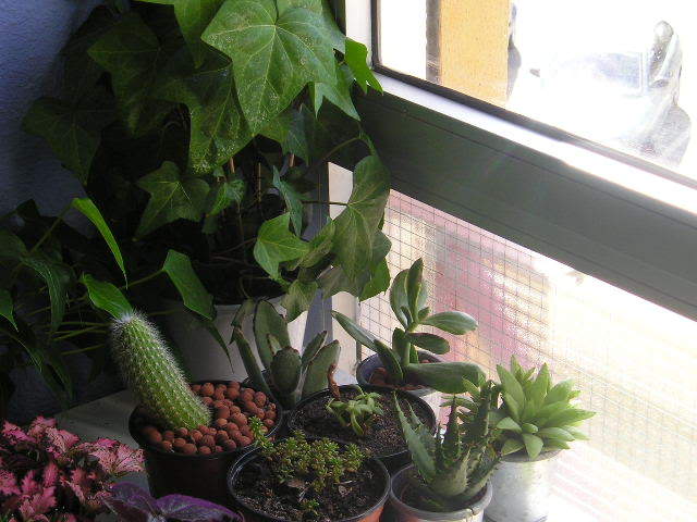 P1010001_2.jpg