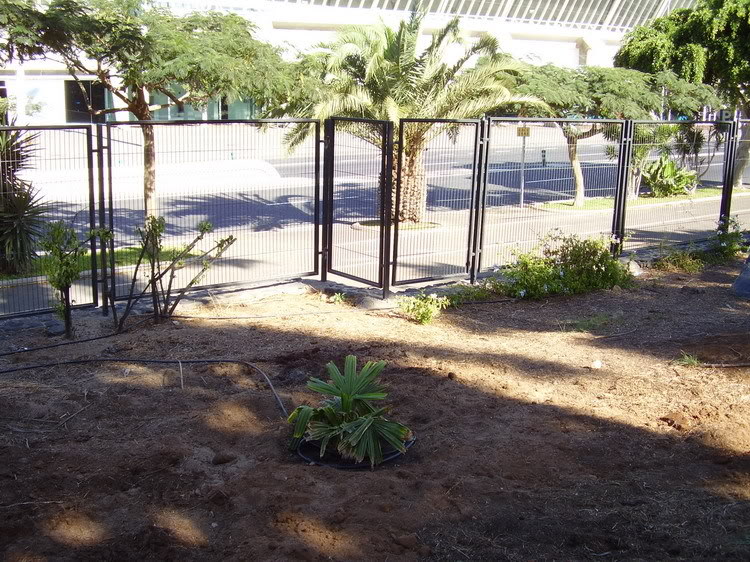 P1010001_redimensionar.jpg
