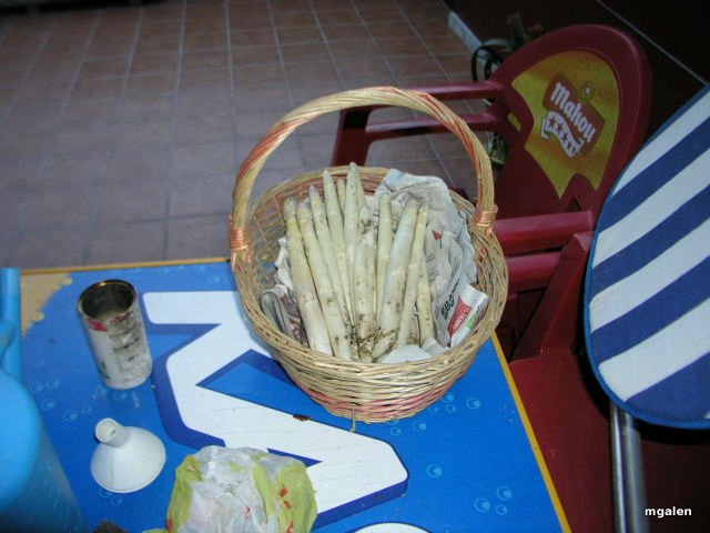 P1010002.JPG