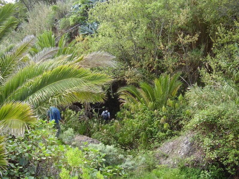 P1010002_redimensionar.jpg