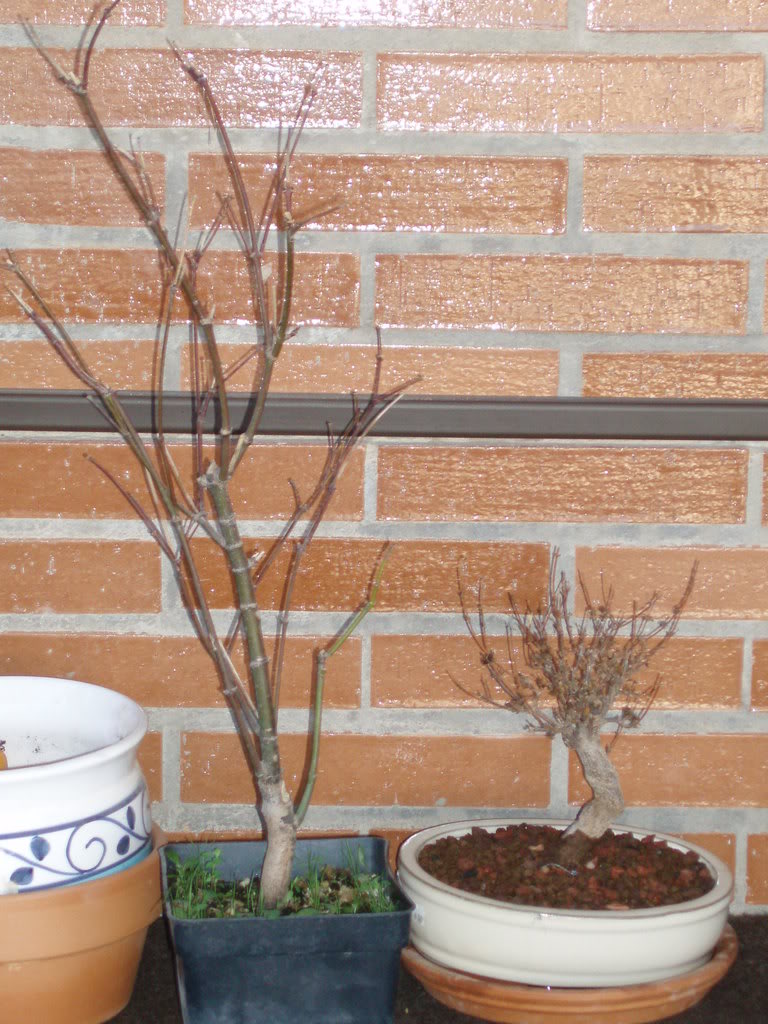 P1010003.jpg