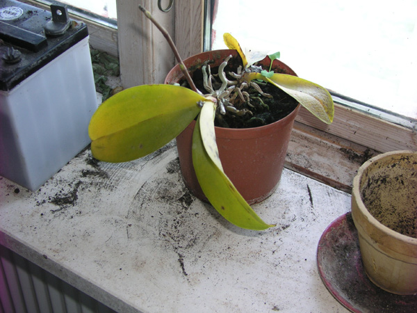 P1010005.JPG