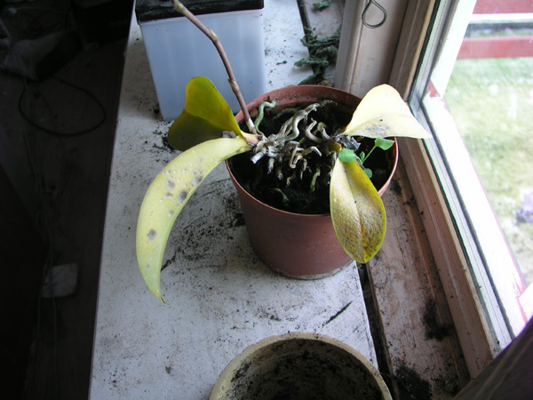 P1010006.JPG