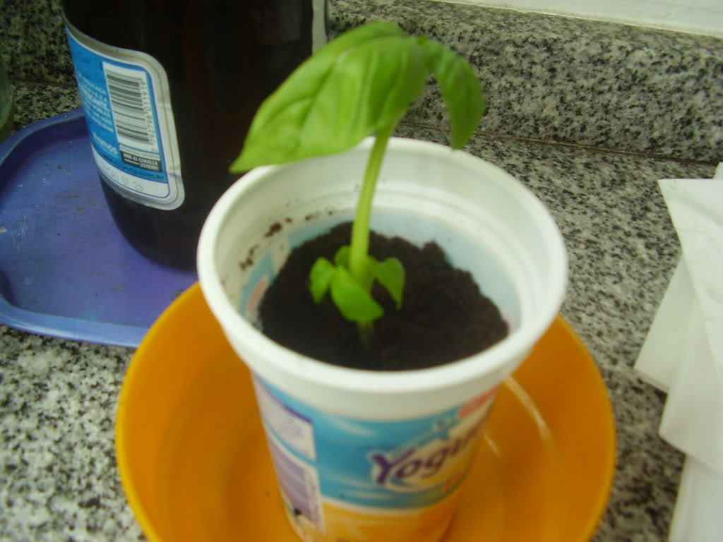 P1010006.jpg