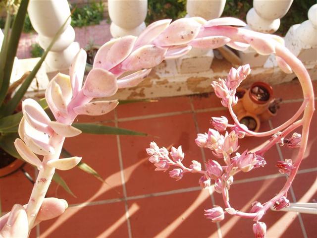P1010006.JPG