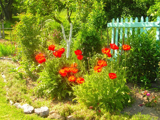 P1010012.JPG