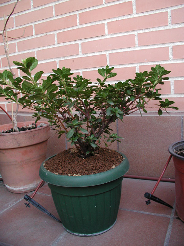 P1010014%20copy.jpg