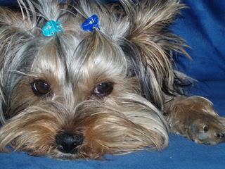 P1010015-4.jpg