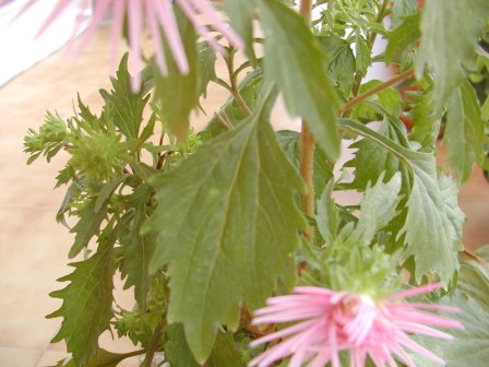 P1010021.JPG