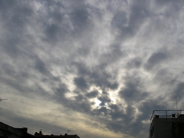 p1010027.JPG