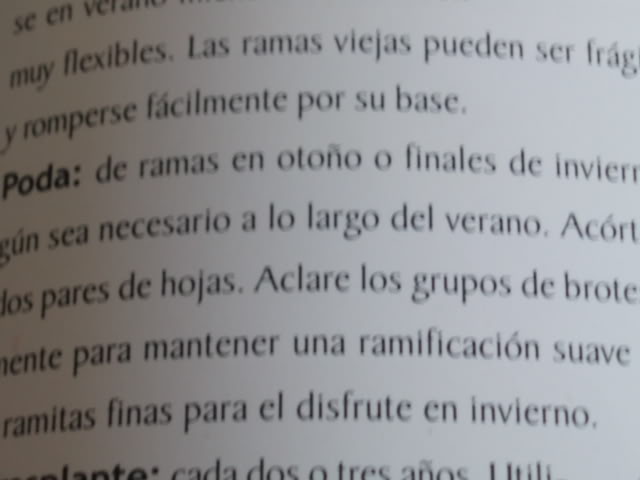 P1010029.jpg