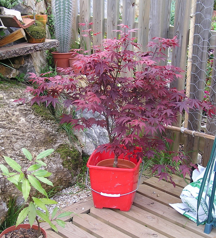 P1010031_1200.jpg