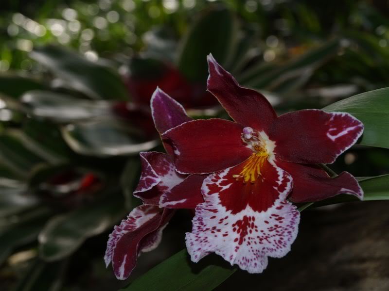 P1010032-2.jpg