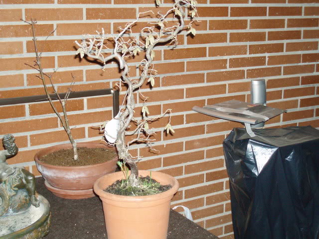 P1010040.jpg