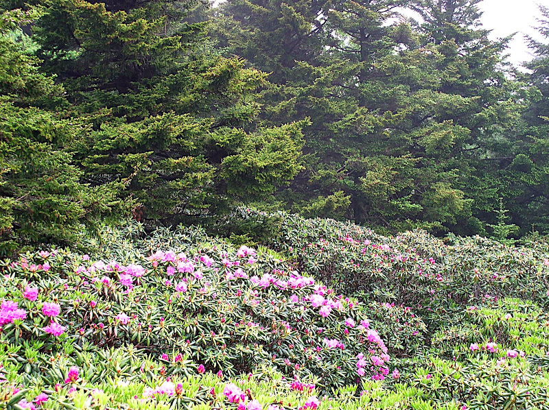 P1010040.JPG