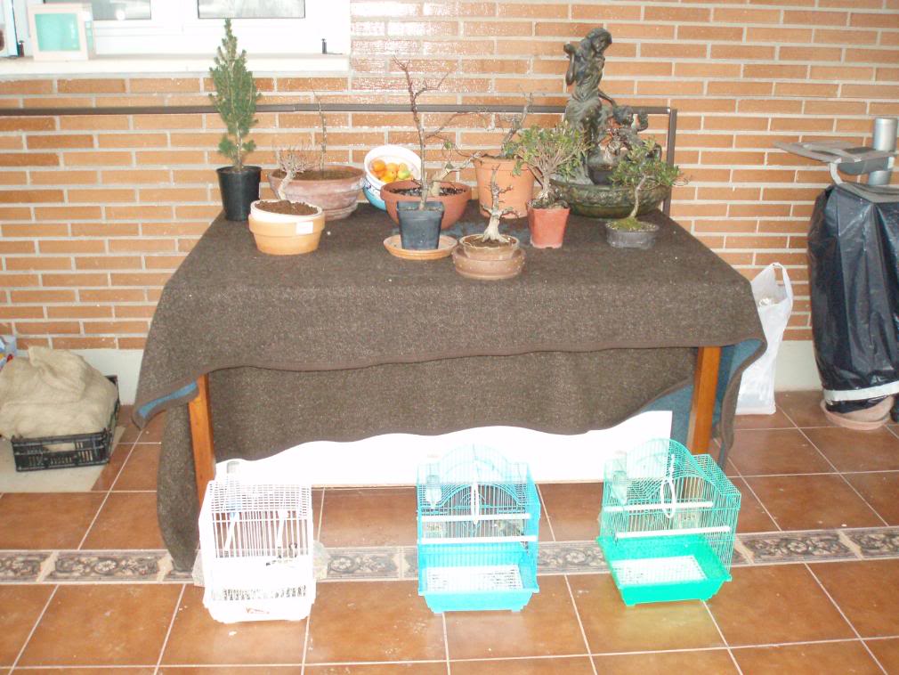 P1010042-1.jpg