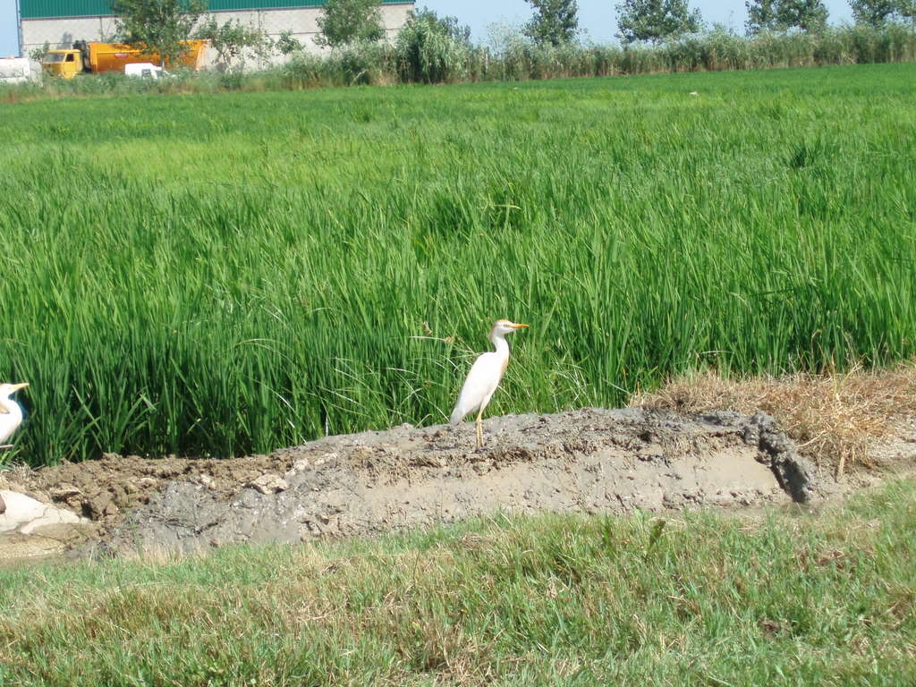 P1010043.jpg