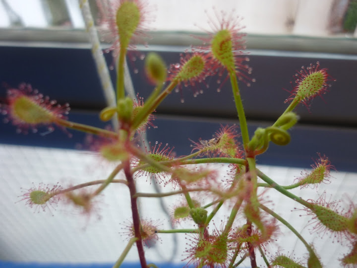 P1010048.JPG
