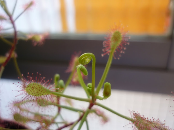 P1010053.JPG