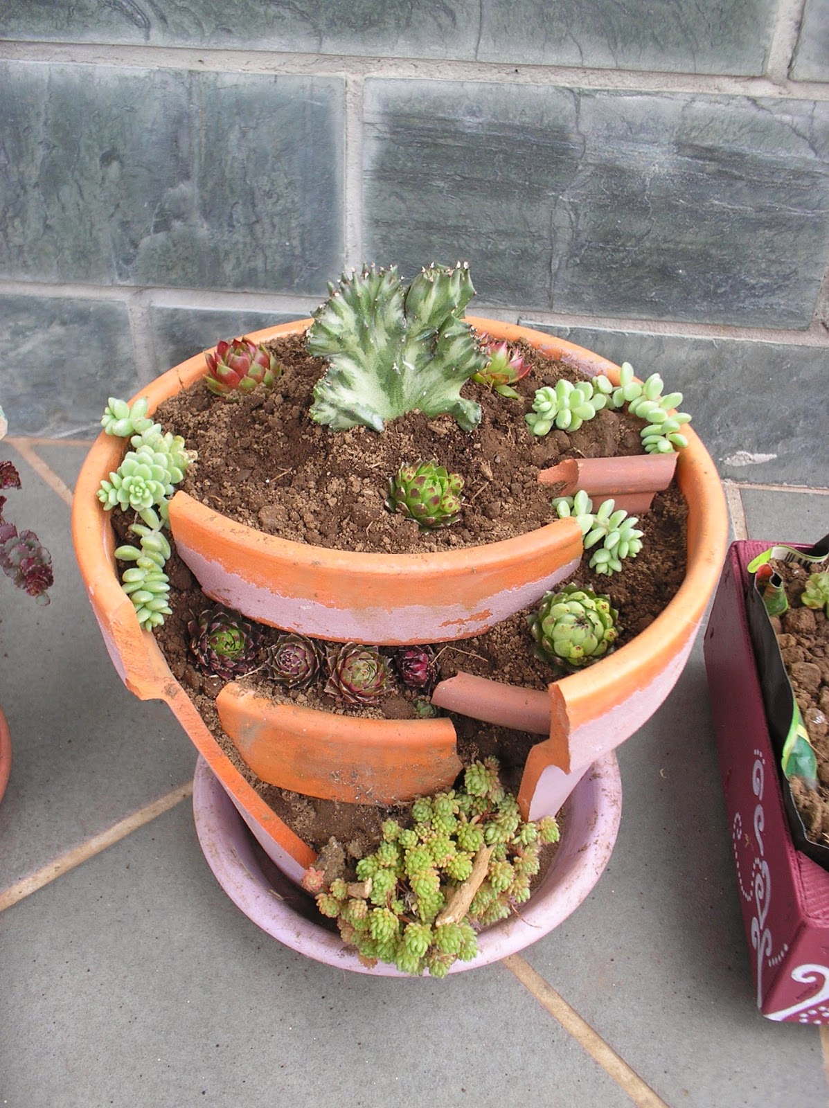 P1010054.JPG