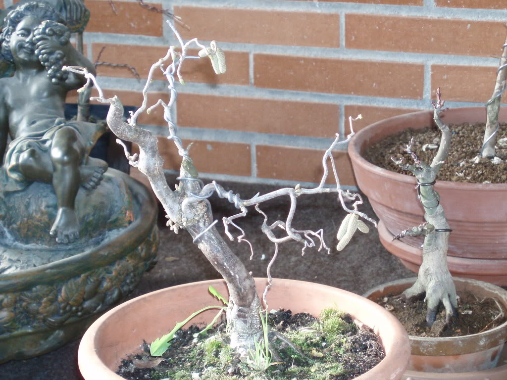 P1010058.jpg