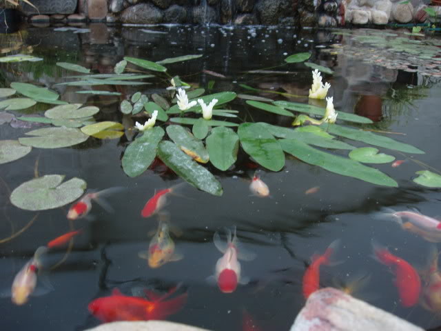 P1010061-2.jpg