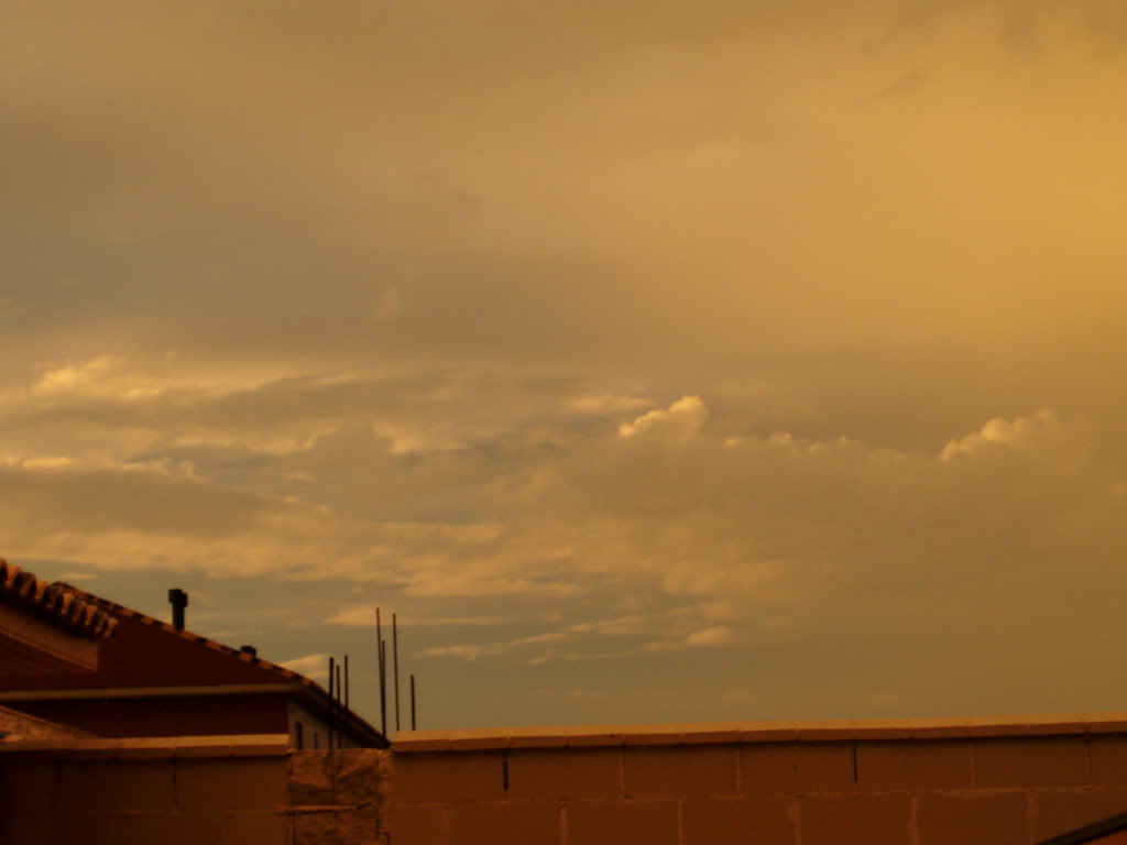 P1010061.jpg