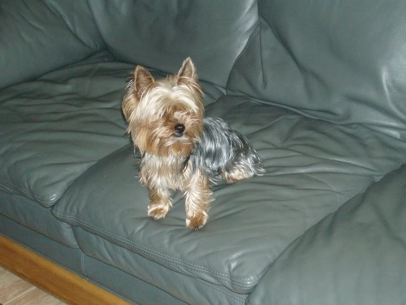 P1010065-1.jpg