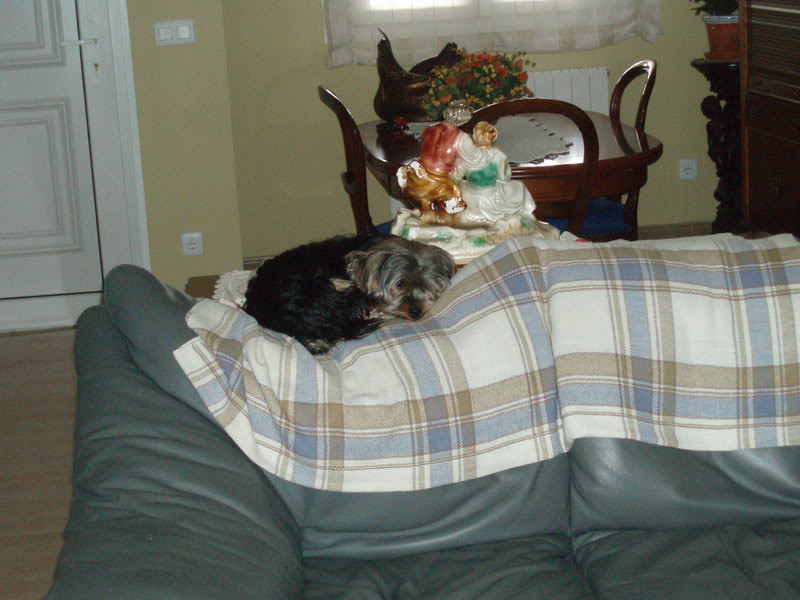 P1010068-2.jpg