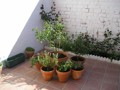 P1010111.JPG