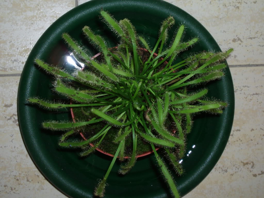 P1010112.jpg