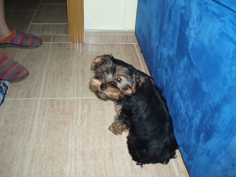 P1010125-1.jpg