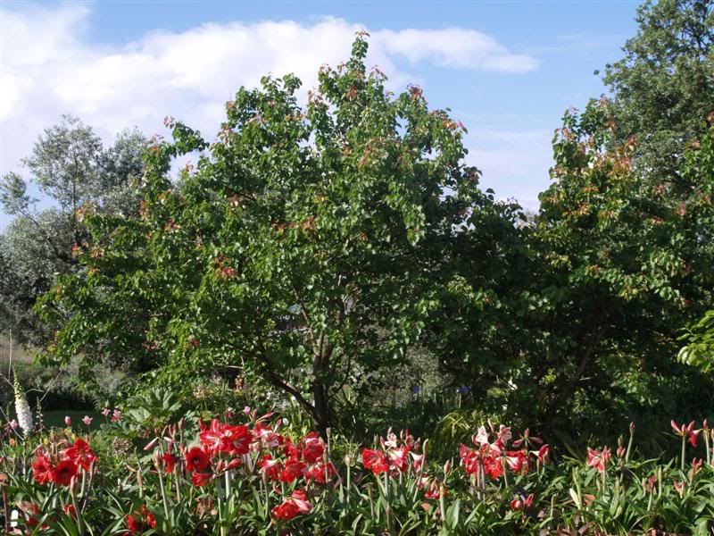 P1010127Medium-2.jpg